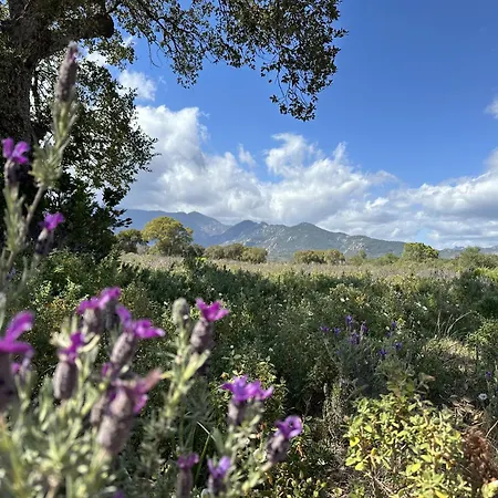 Διαμέρισμα Hoteliere Les Hameaux De Saint Cyprien 2 *